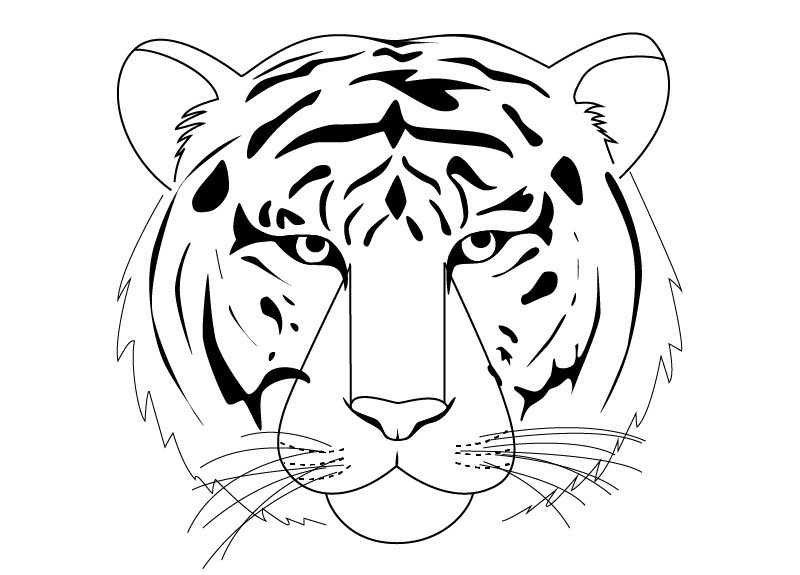 Рисунок Тигра для срисовки