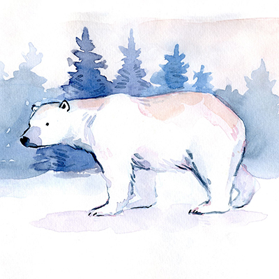 Рисунок "Белый медведь"